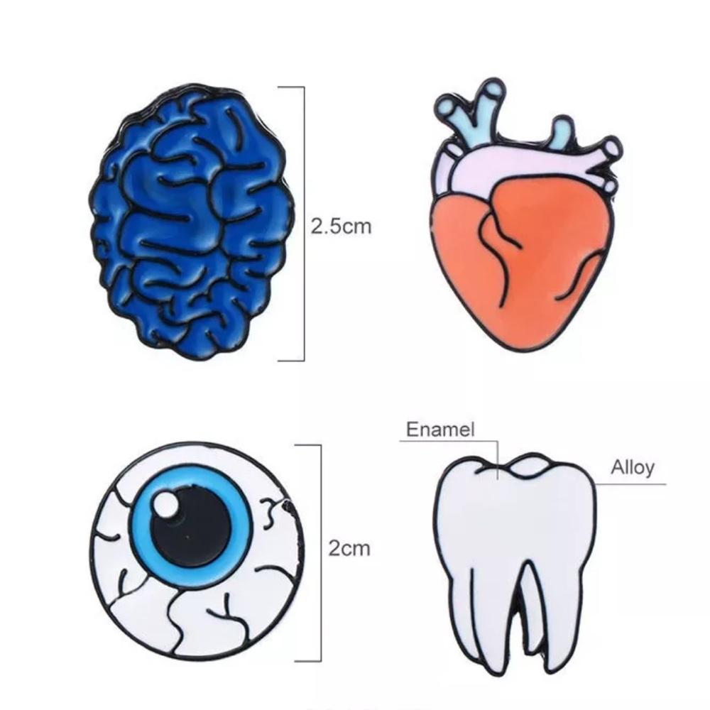The Human Body - Picture 3 of 4